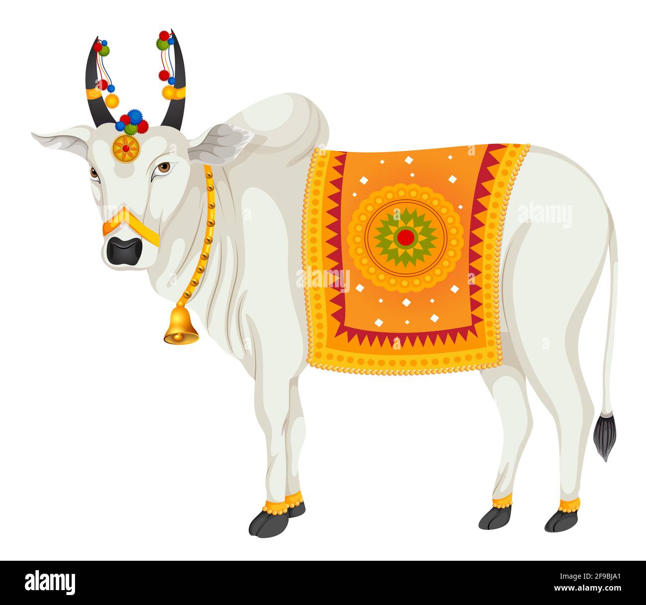 holi cow 2025 photo