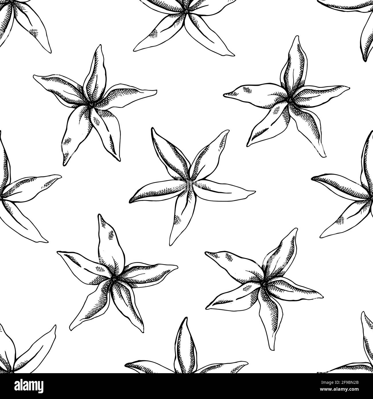 Seamless pattern with black and white hancornia Stock Vector