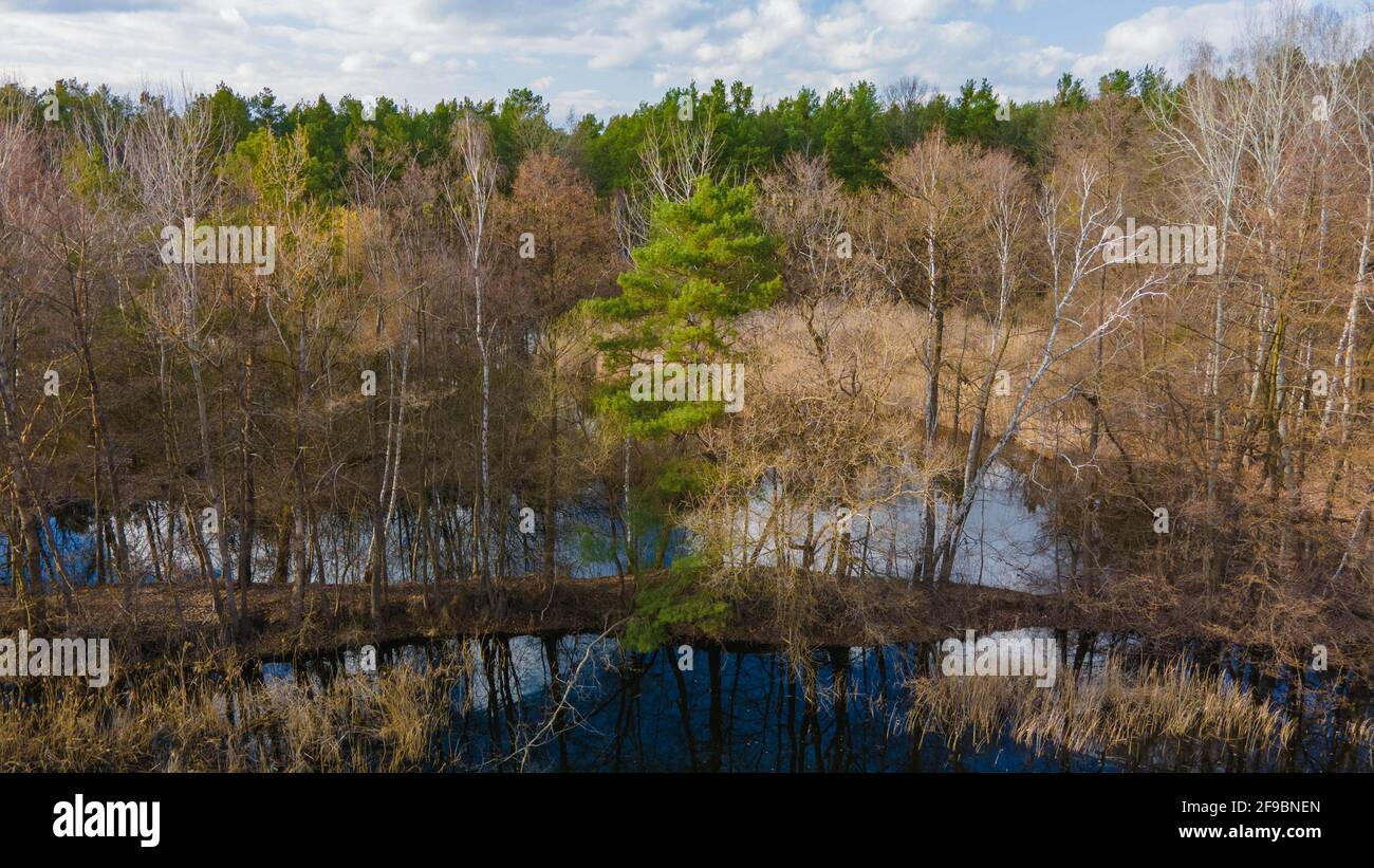 Aerial view of a forest lake surrounded by green and deciduous trees ...