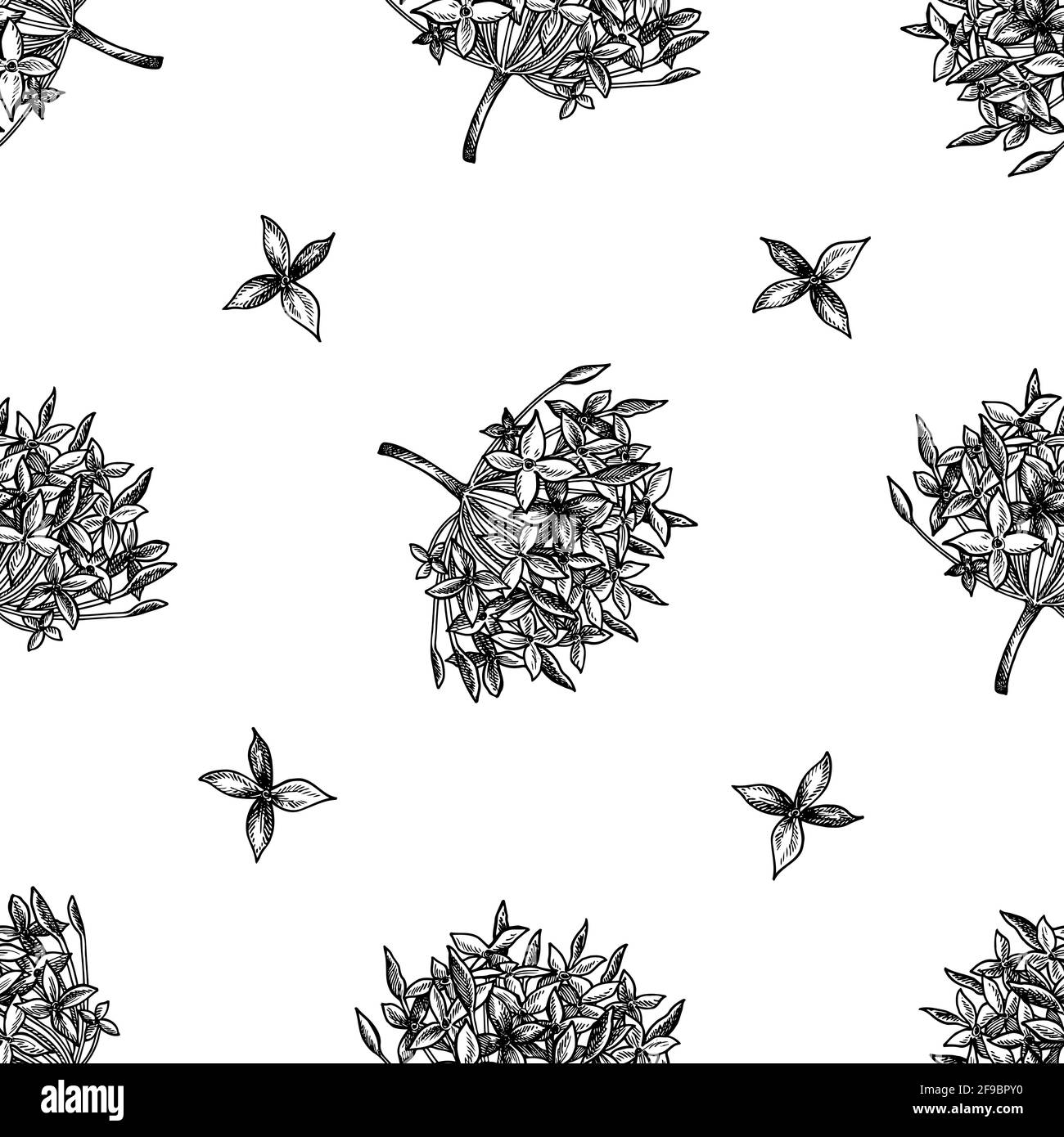 Seamless pattern with black and white ixora Stock Vector
