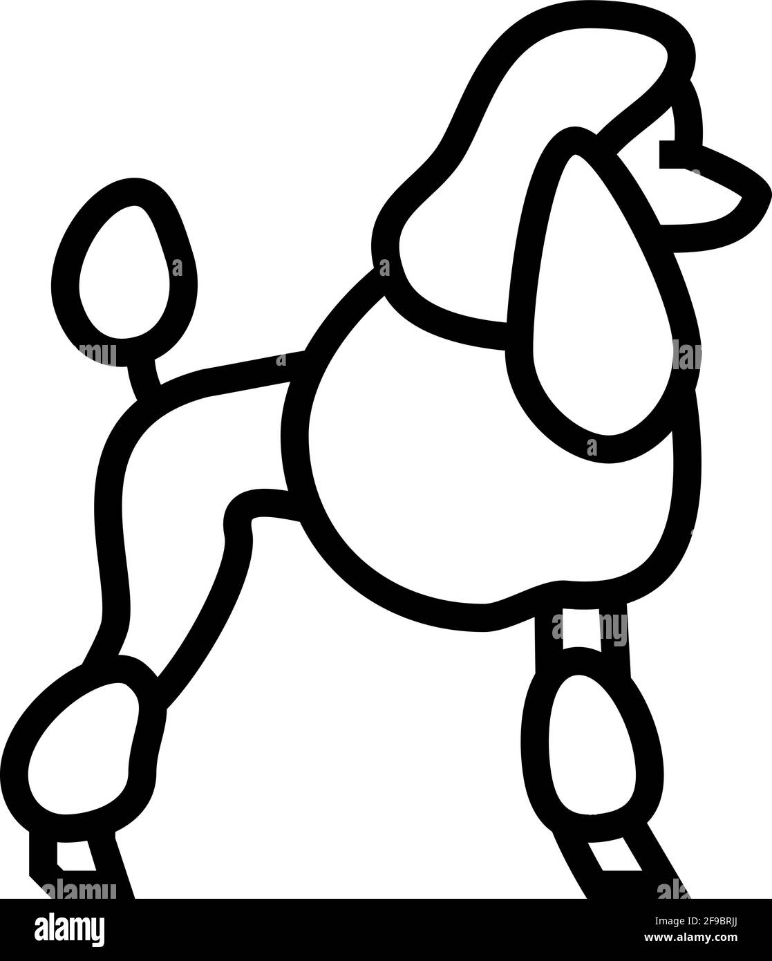 poodle dog line icon vector illustration Stock Vector Image & Art - Alamy