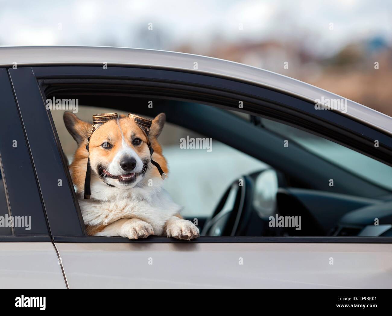 Aviator glasses hires stock photography and images Alamy