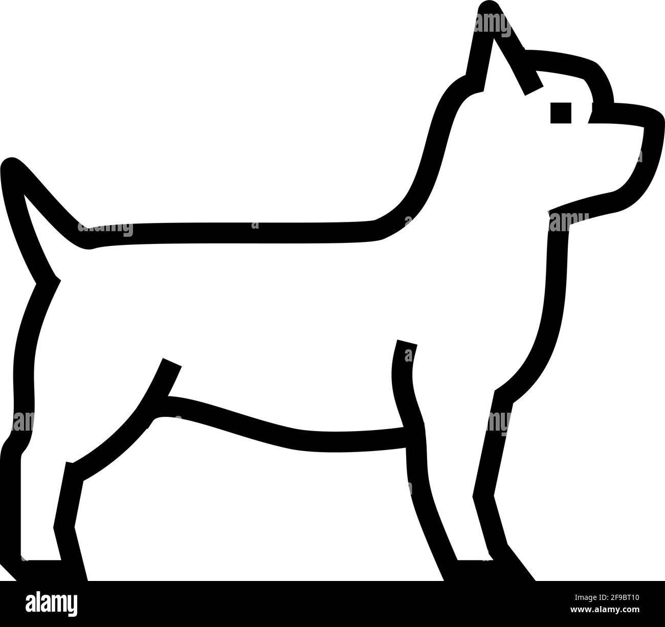 yorkshire terrier dog line icon vector illustration Stock Vector Image ...