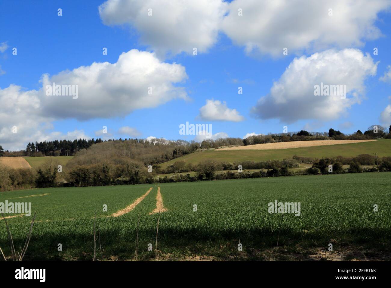 View of Stowting Hill on the North Downs from Stowting, Kent, England, United Kingdom Stock Photo