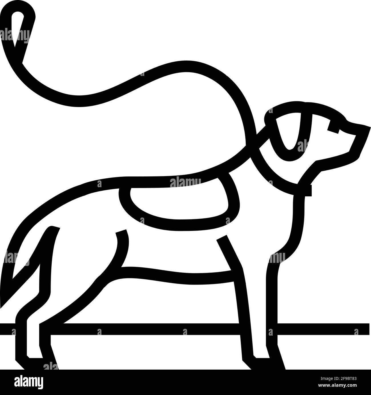 pouring out dog line icon vector illustration Stock Vector Image & Art ...