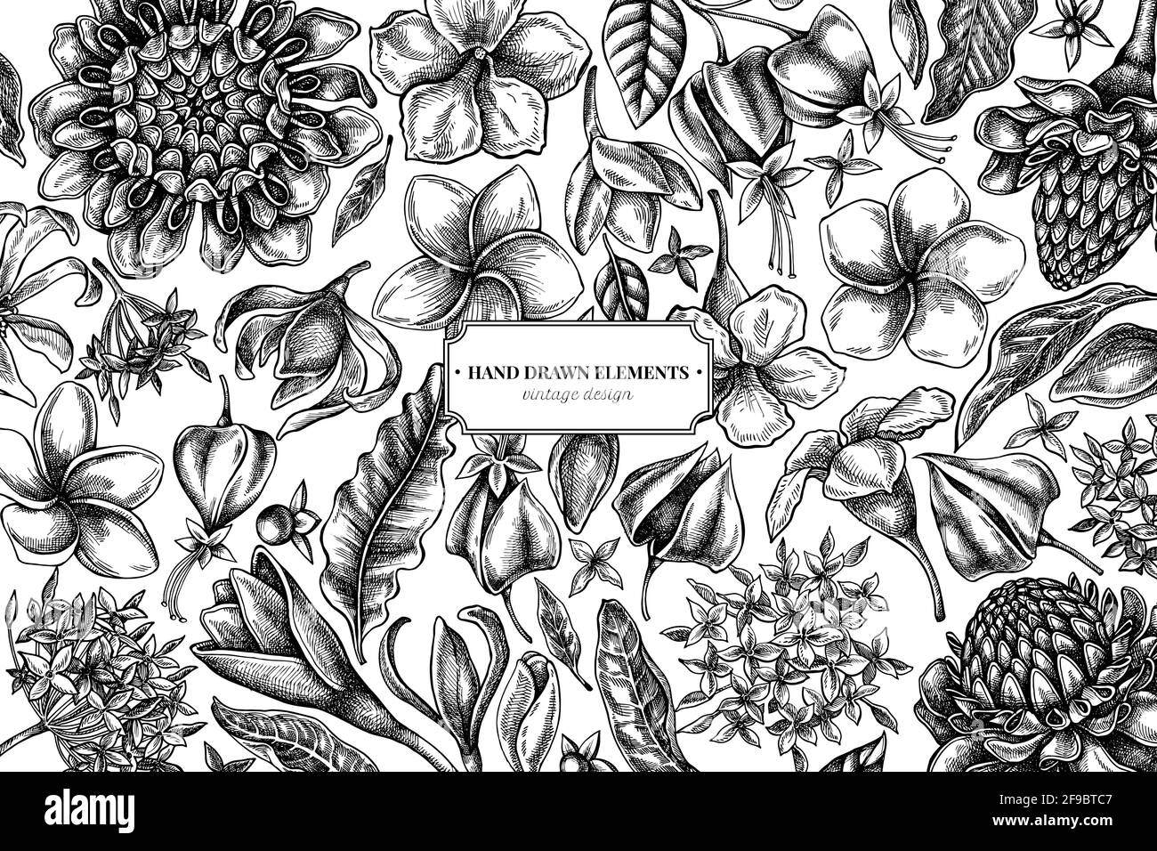 Floral design with black and white plumeria, allamanda, clerodendrum, champak, etlingera, ixora Stock Vector
