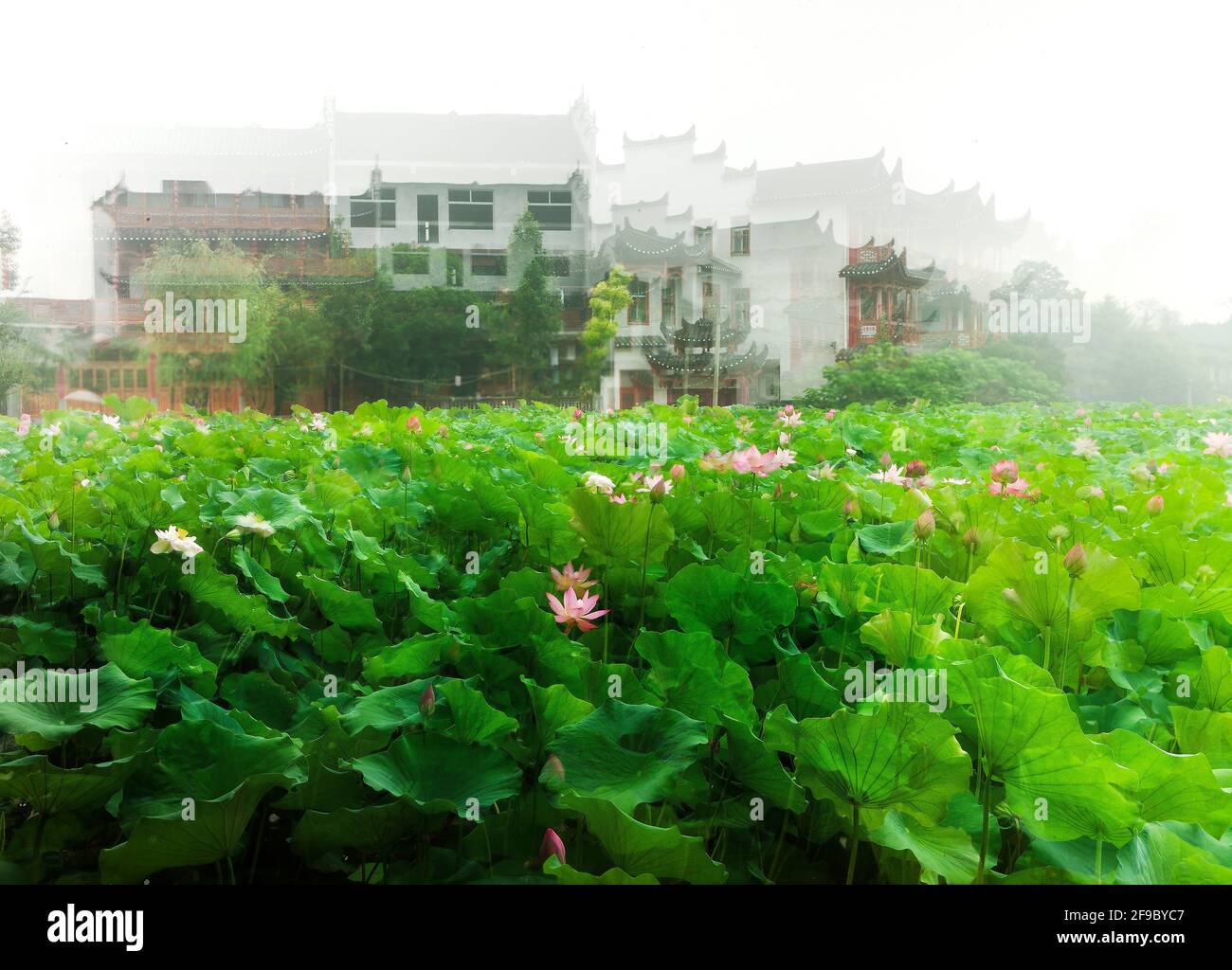 Xiangxi tujia and miao autonomous prefecture of hunan province yongshun furong town Stock Photo