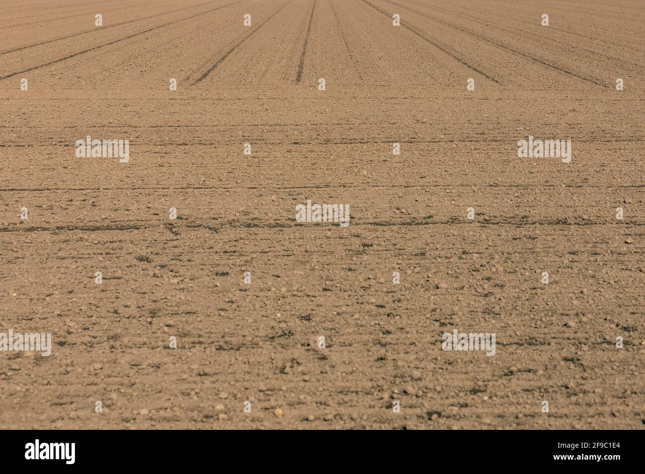 freshly laid field without plants, only pure ground Stock Photo - Alamy