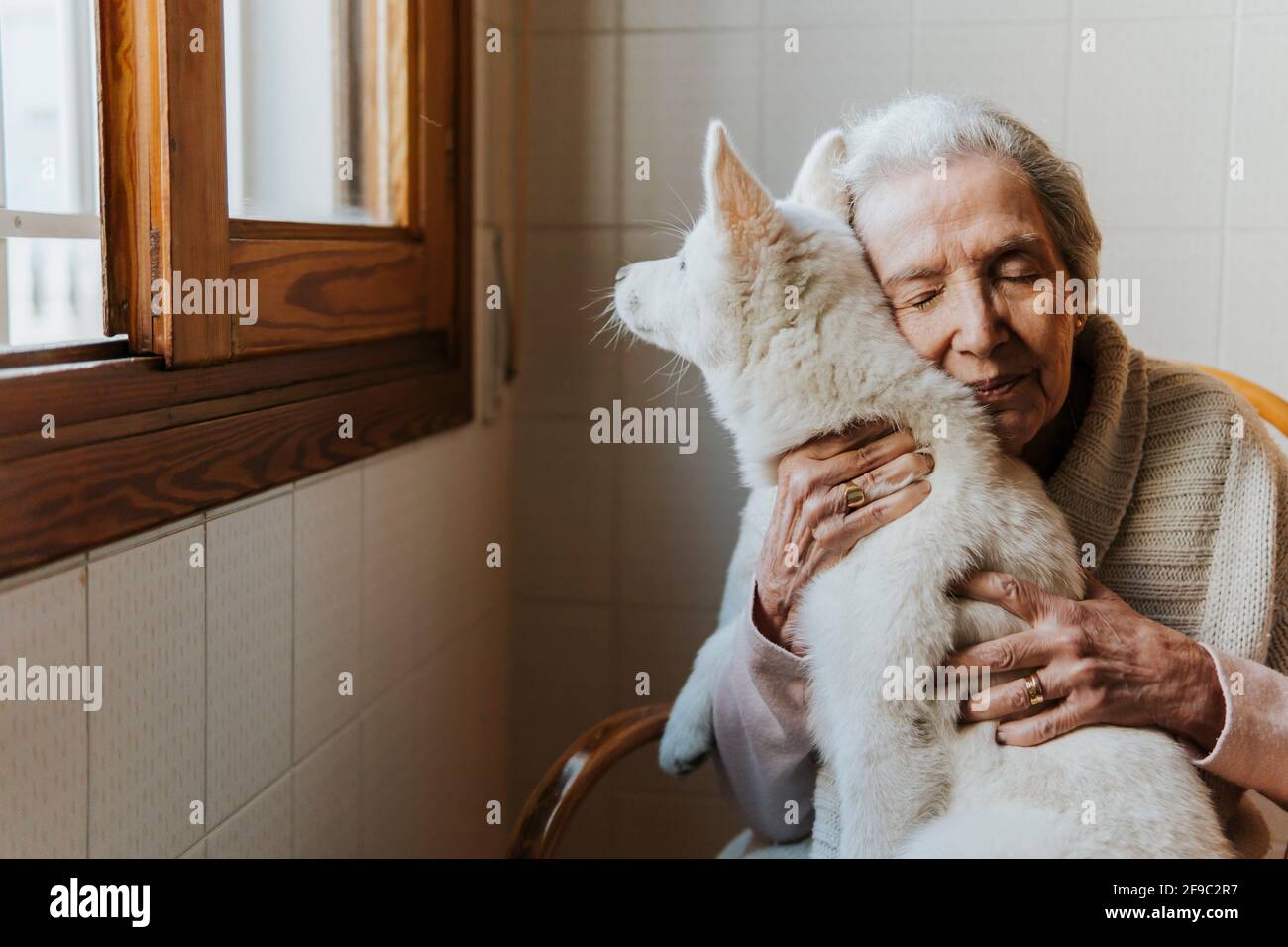 Elderly woman tenderly hugs her white Siberian husky puppy dog Stock Photo