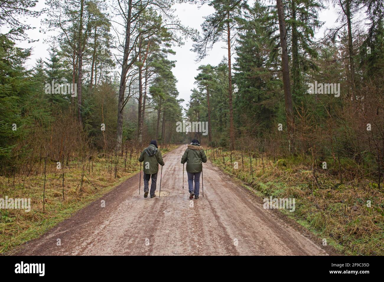 Couple walking through woodland hi-res stock photography and images - Alamy