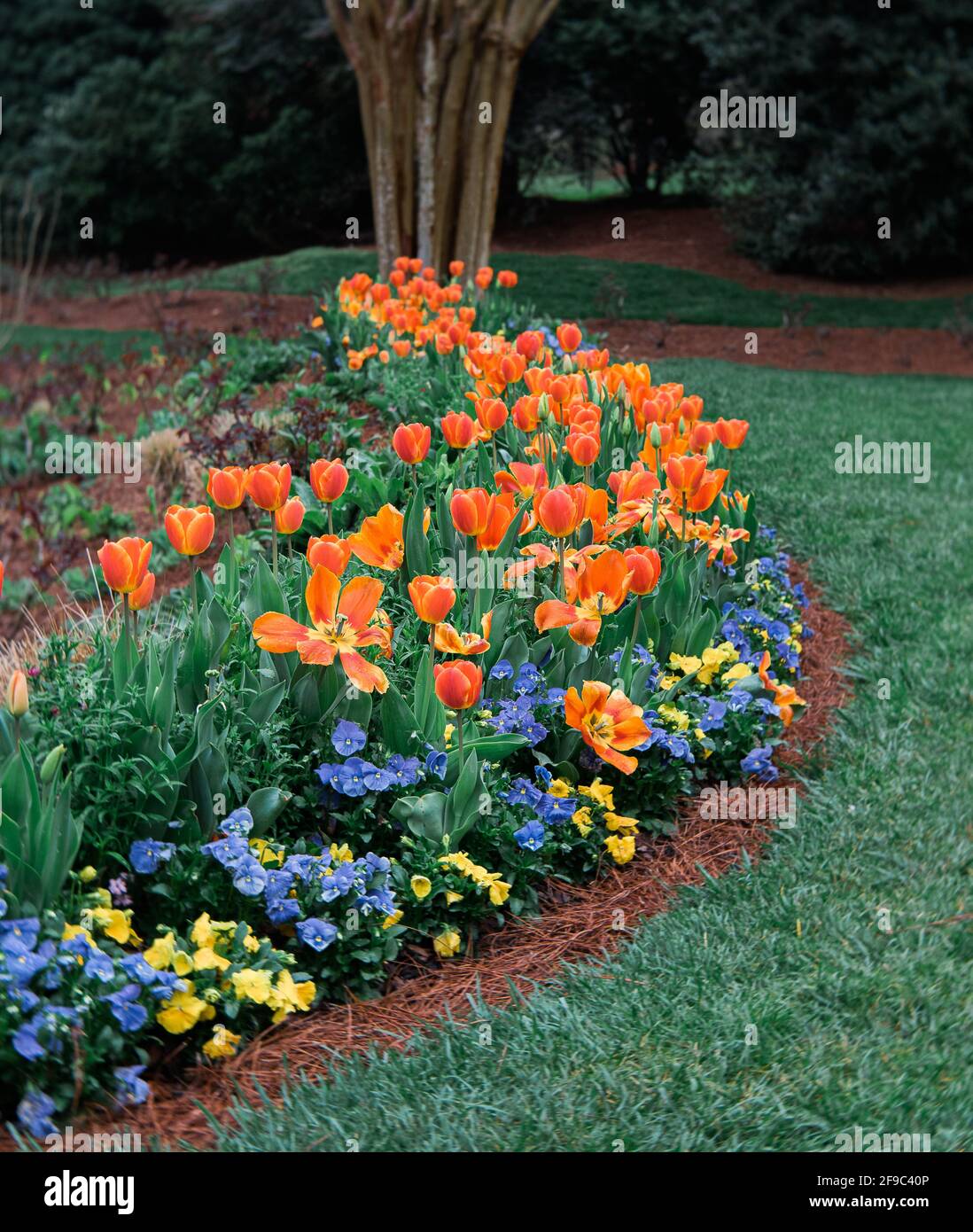 colorful flower bed at Gibbs Gardens Botanical garden in Georgia Stock Photo