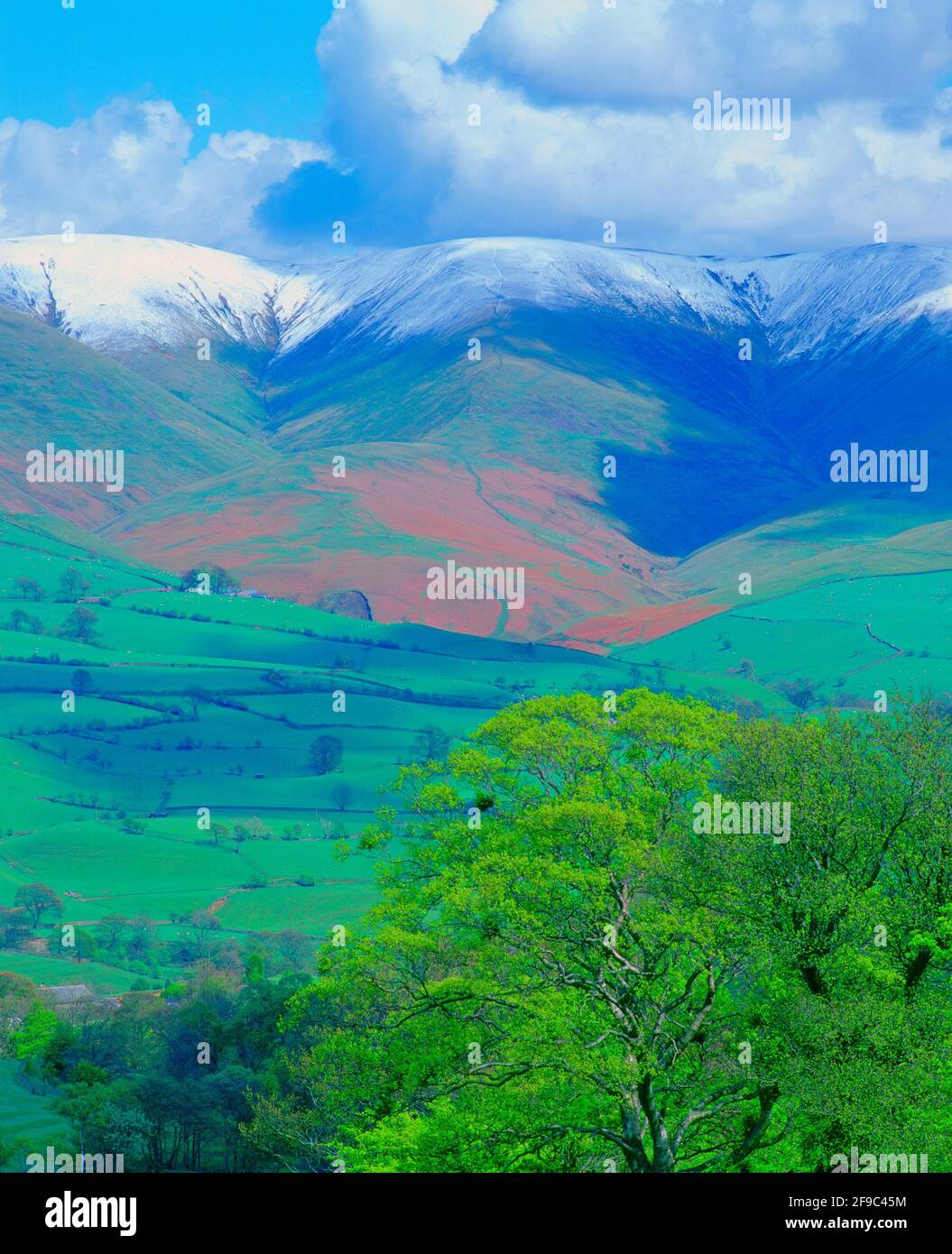 UK, England, Cumbria, spring landscape with snow capped Langdale Fell, Stock Photo