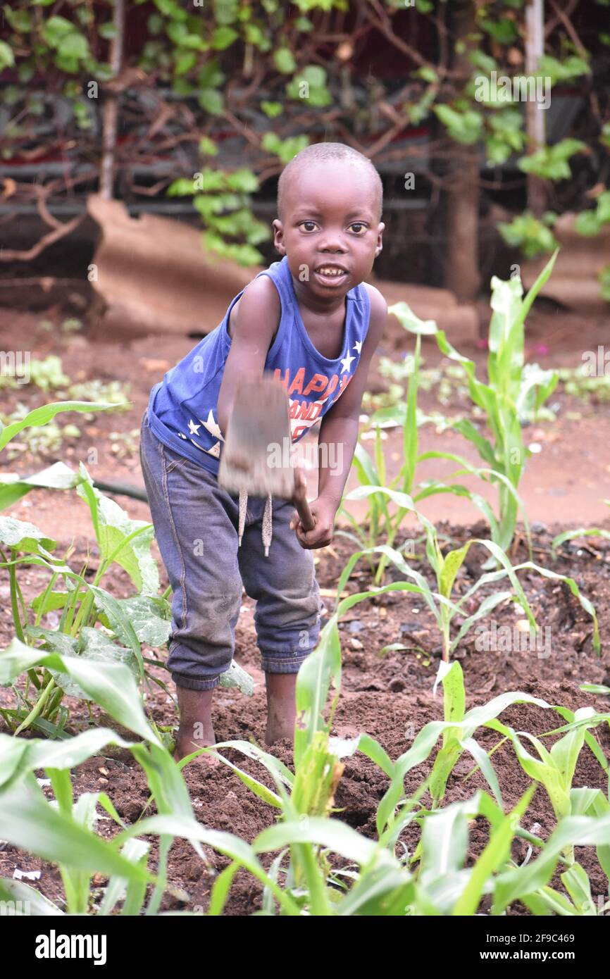 Chiredzi,Zimbabwe, 13 March 2020, Child working in a garden with a hoe. Stock Photo