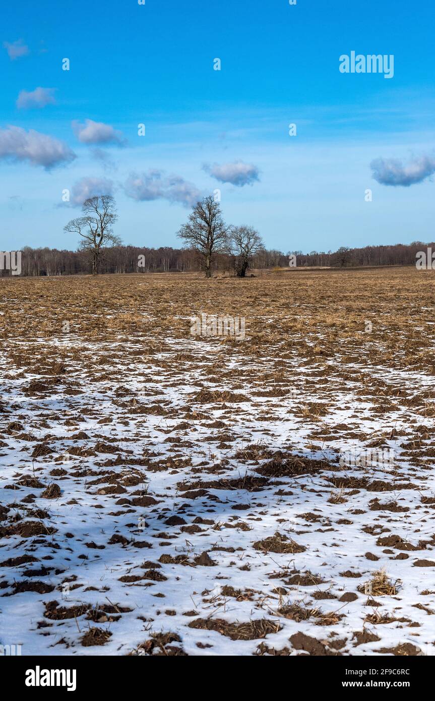 Farm fields sown. Agricultural fields plowed in early spring. Slightly snow-covered farmland. Stock Photo
