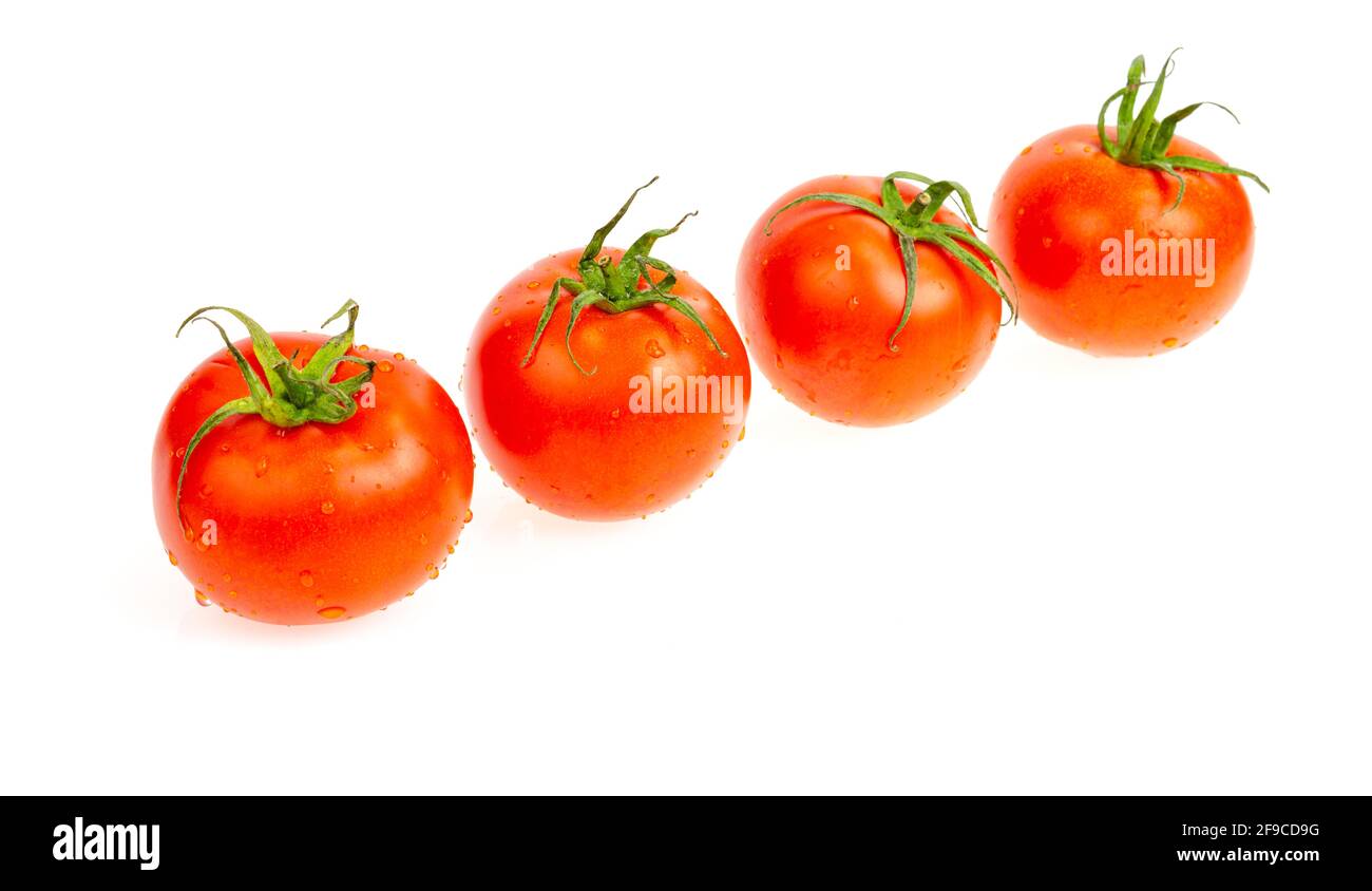 Four red wet tomatoes isolated on white background. Studio Photo Stock ...