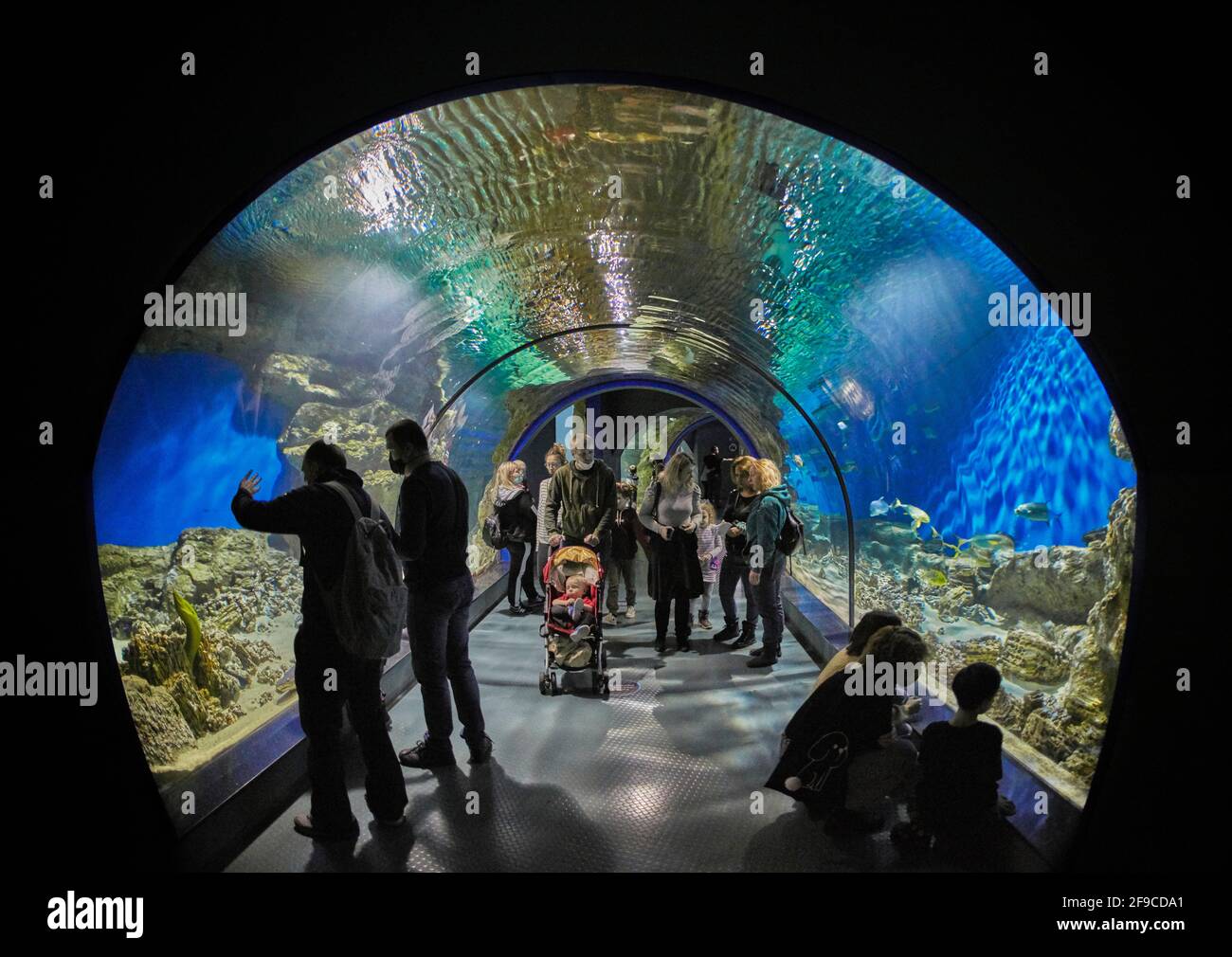 People walk through an aquarium tunnel in Moskvarium, the largest oceanarium in Moscow, Russia. Stock Photo