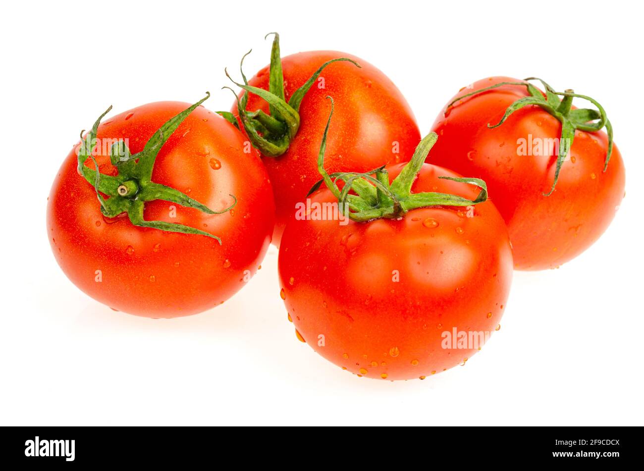 Four red wet tomatoes isolated on white background. Studio Photo Stock ...
