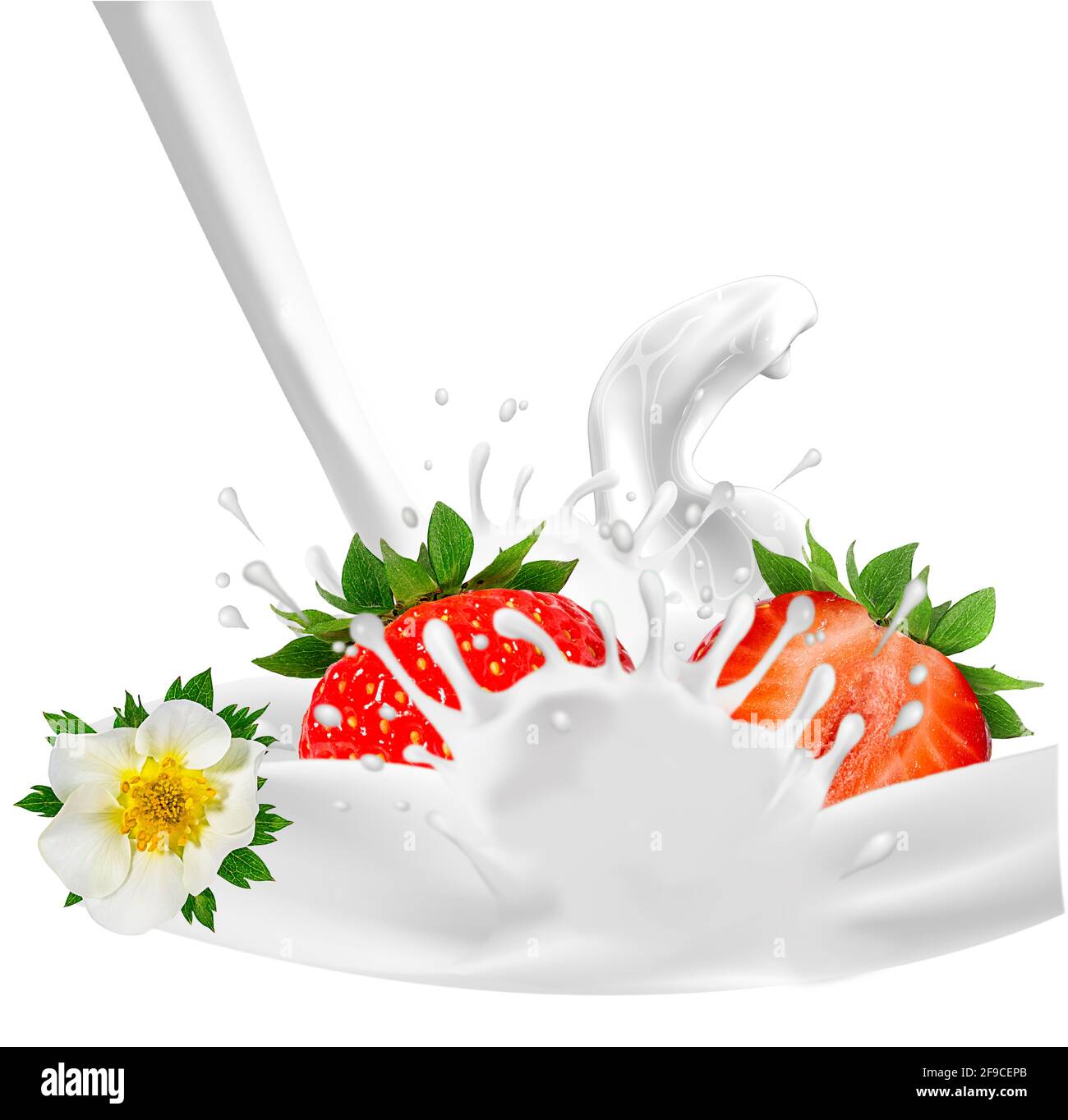 Splash and drops yogurt, milk, ice cream from falling ripe red