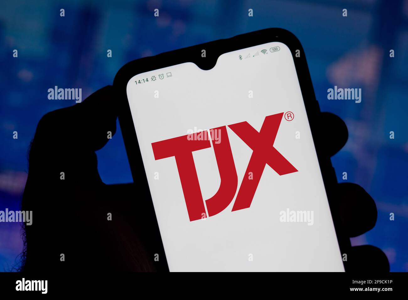 Brazil. 17th Apr, 2021. In this photo illustration the TJX Companies