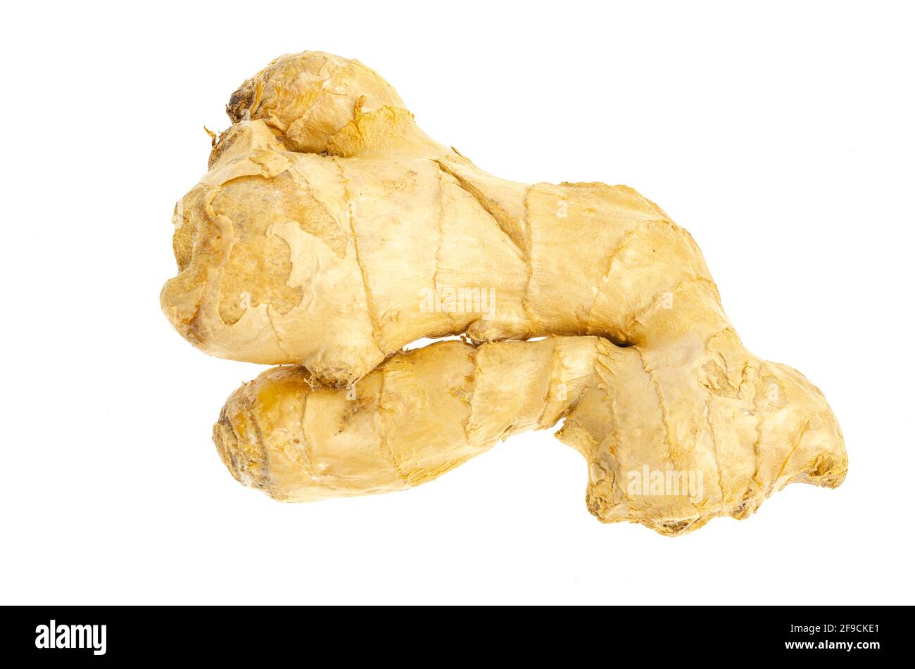 Whole unpeeled ginger root, top view. Studio Photo Stock Photo Alamy