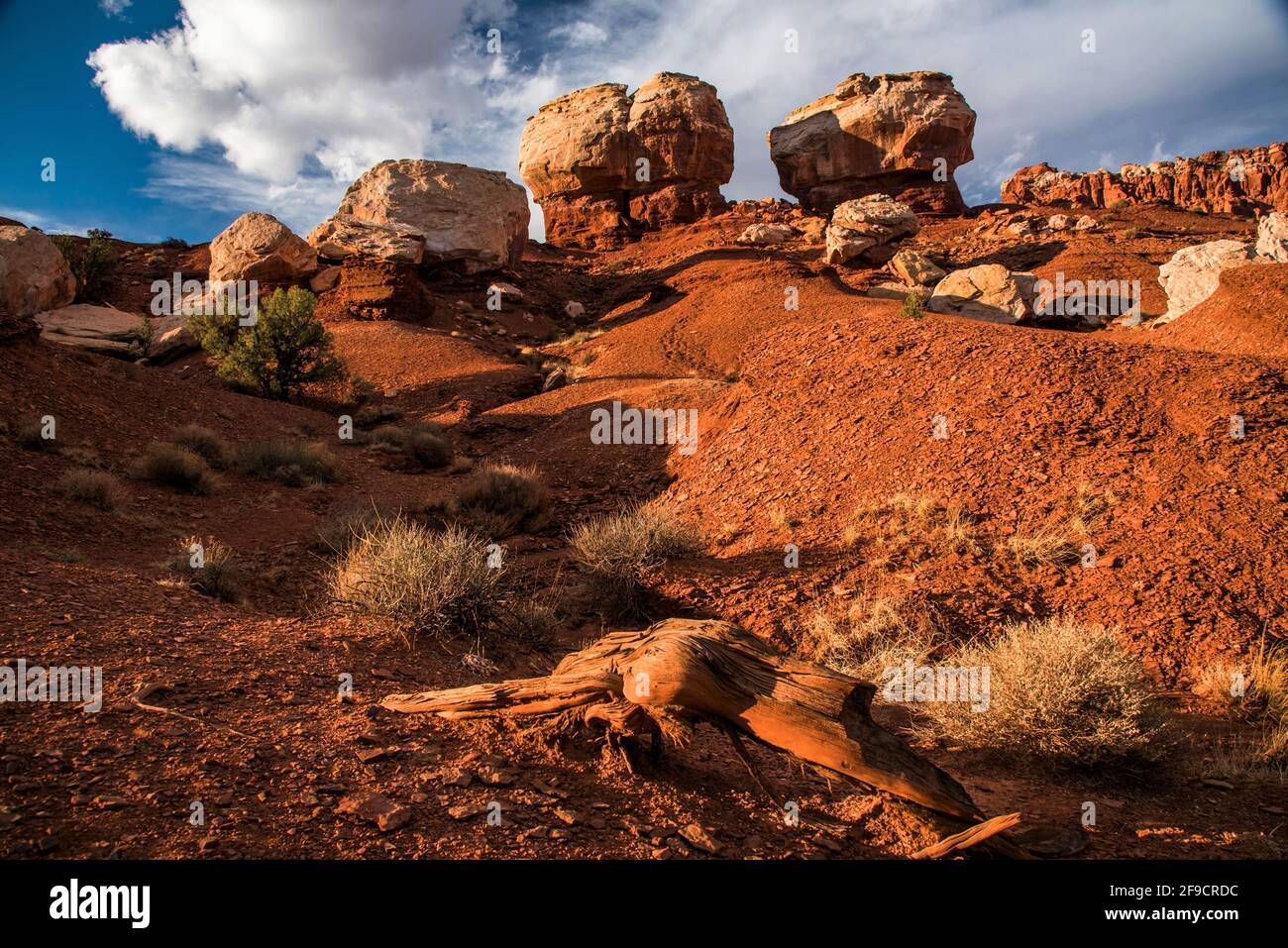 Twin Rocks' rock formation in Capitol Reef National Park, Utah, USA Stock  Photo - Alamy