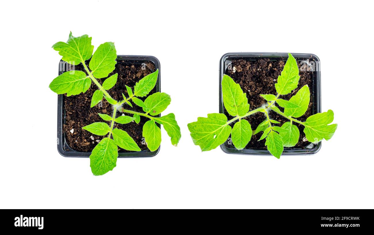 Dirt containers Cut Out Stock Images & Pictures Alamy