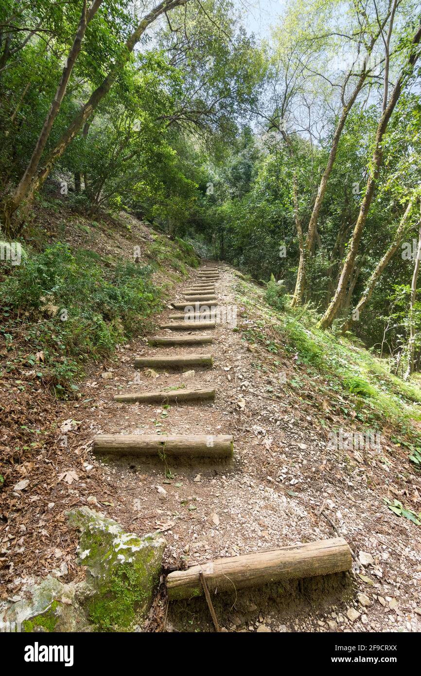 Chouwen lake hiking trail, Jabal Moussa mountain scenery, Lebanon Stock ...