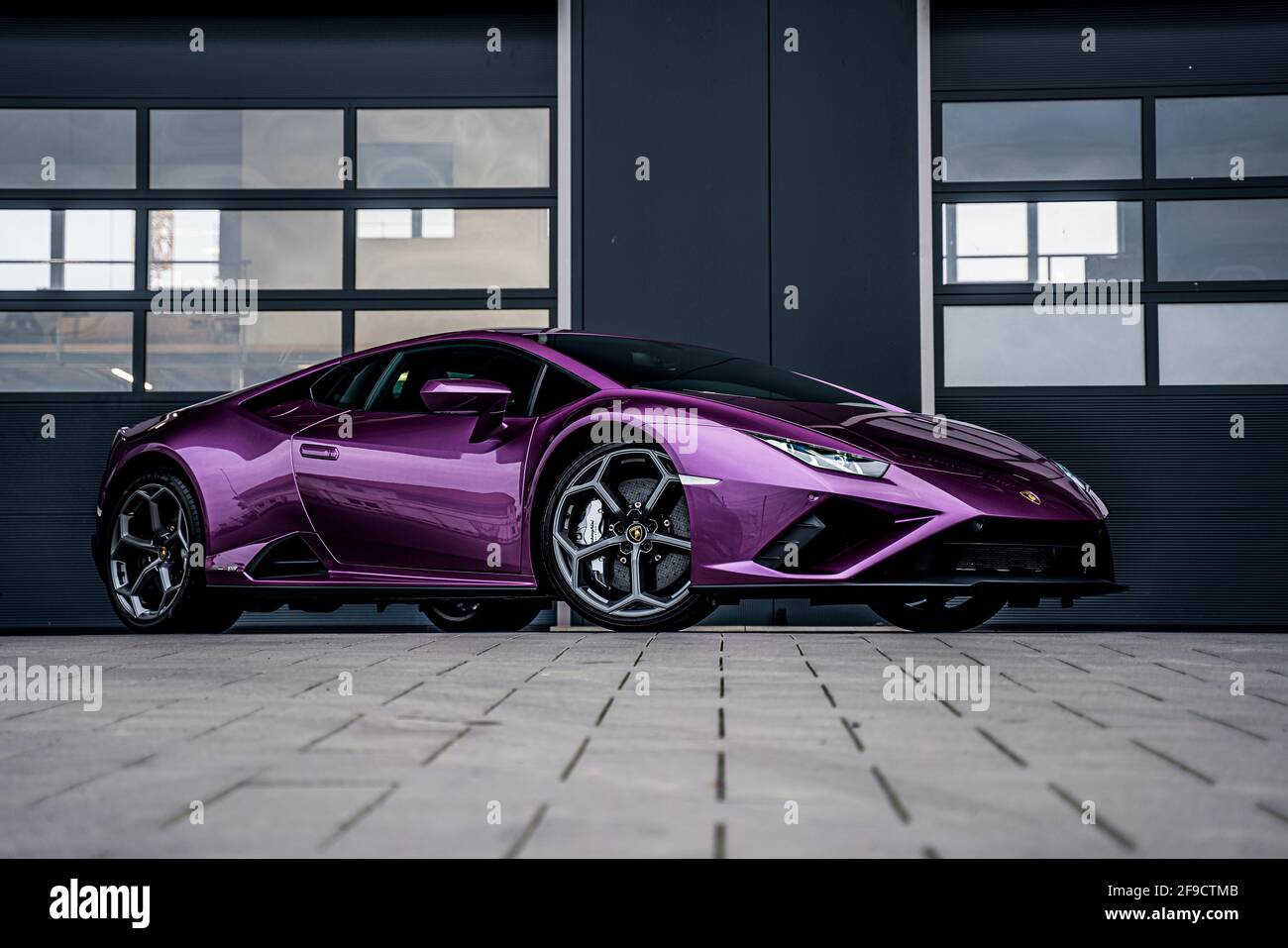 purple lamborghini