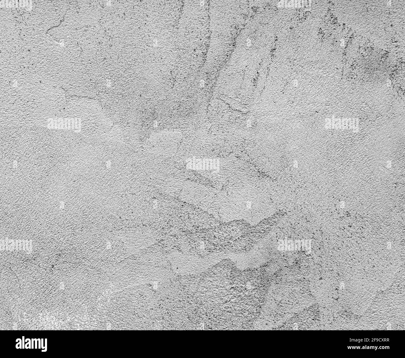 Texture of a gray concrete wall Stock Photo Alamy