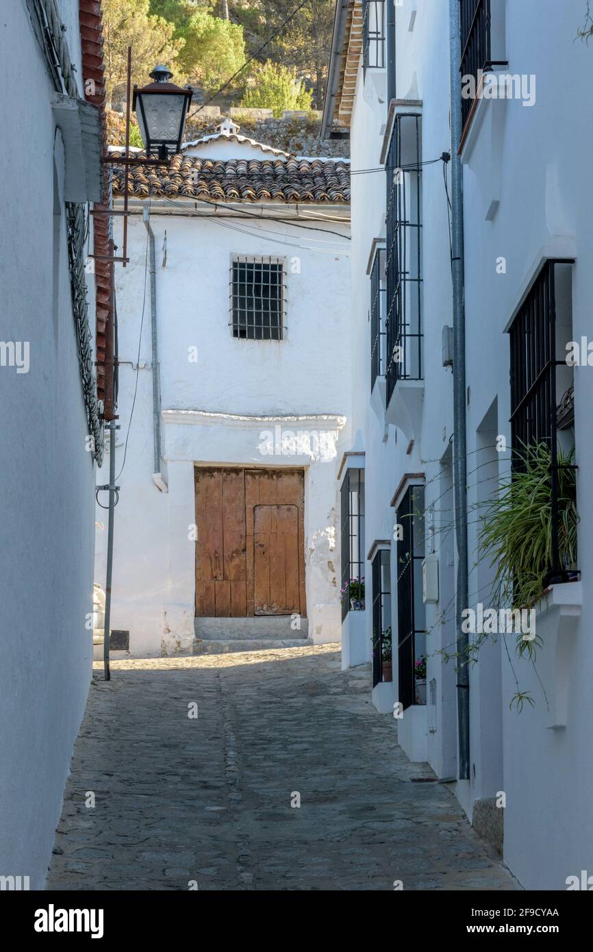 Vertical shot of a narrow path and the old white buildings in Zahara de ...