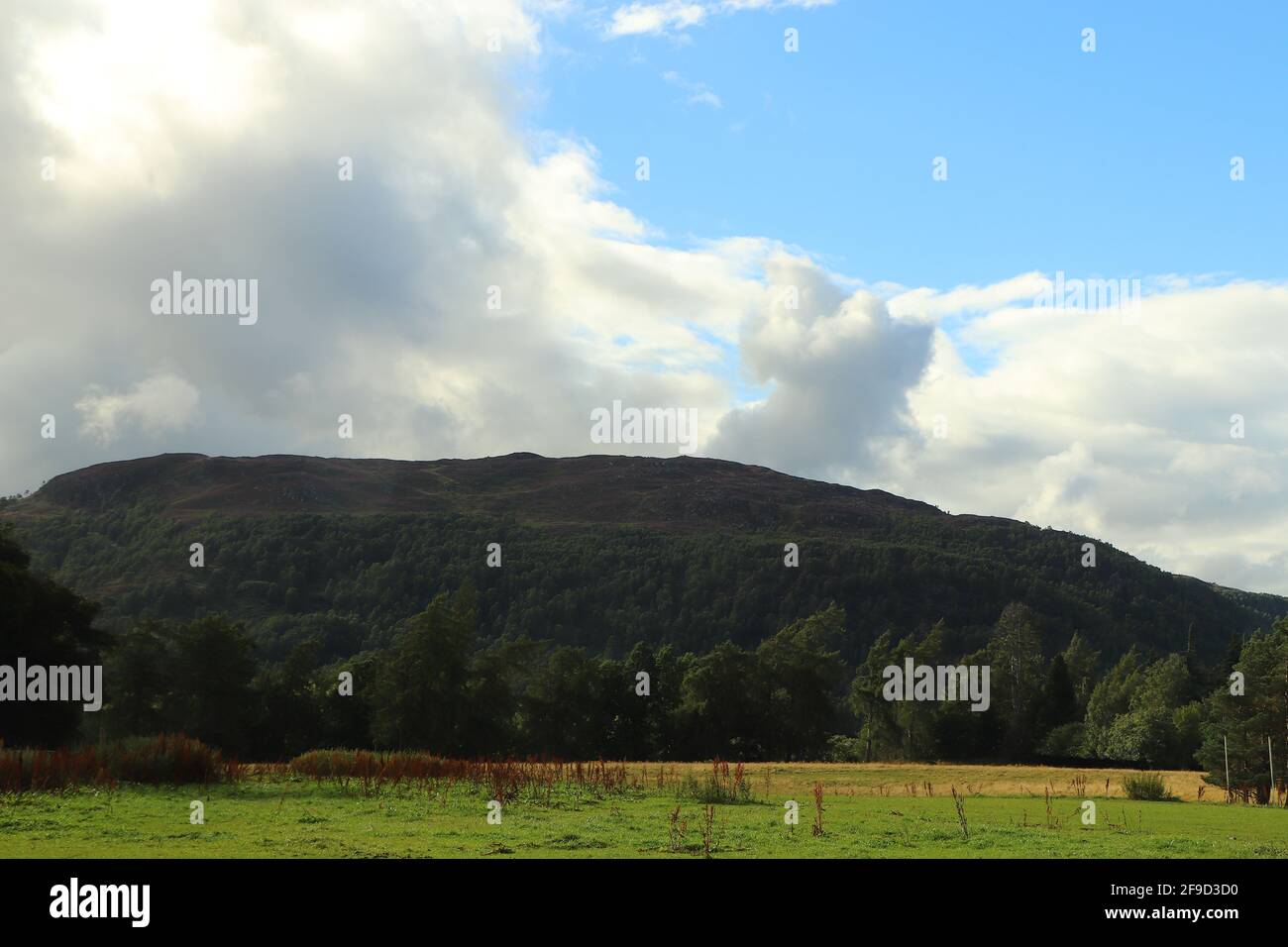 Loch insh outdoor hi-res stock photography and images - Alamy