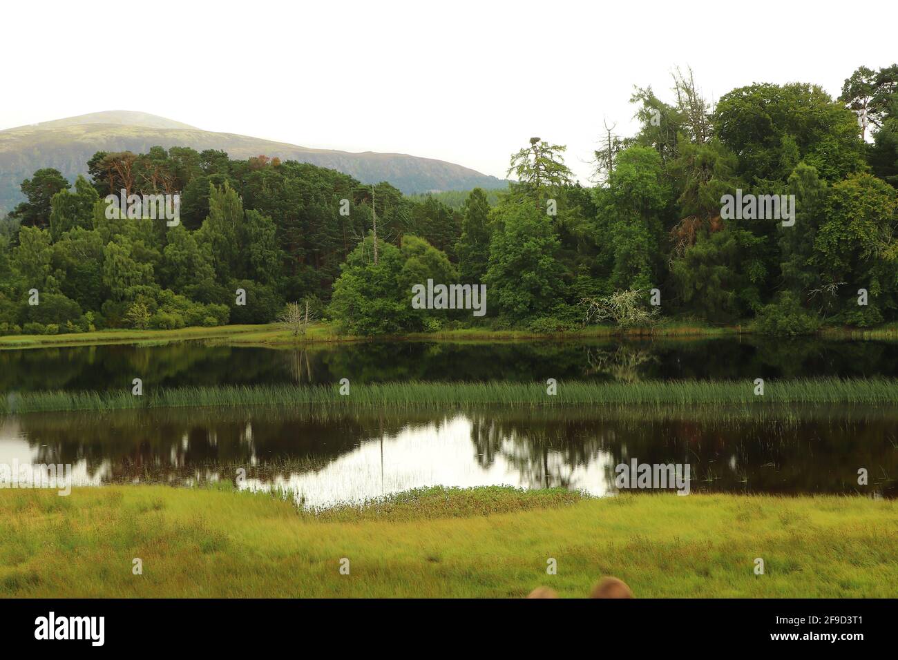 Loch insh outdoor hi-res stock photography and images - Alamy