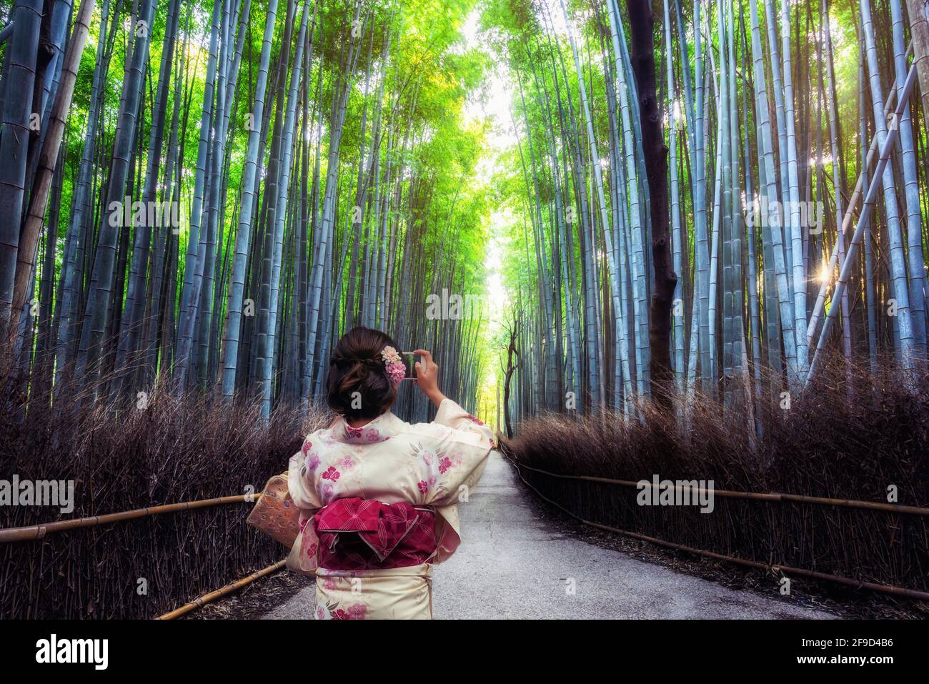 Geisha arashiyama bamboo forest hires stock photography and images Alamy
