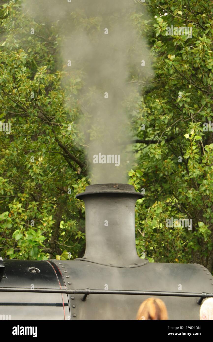 Steam locomotive full of coal running on a track through the ...