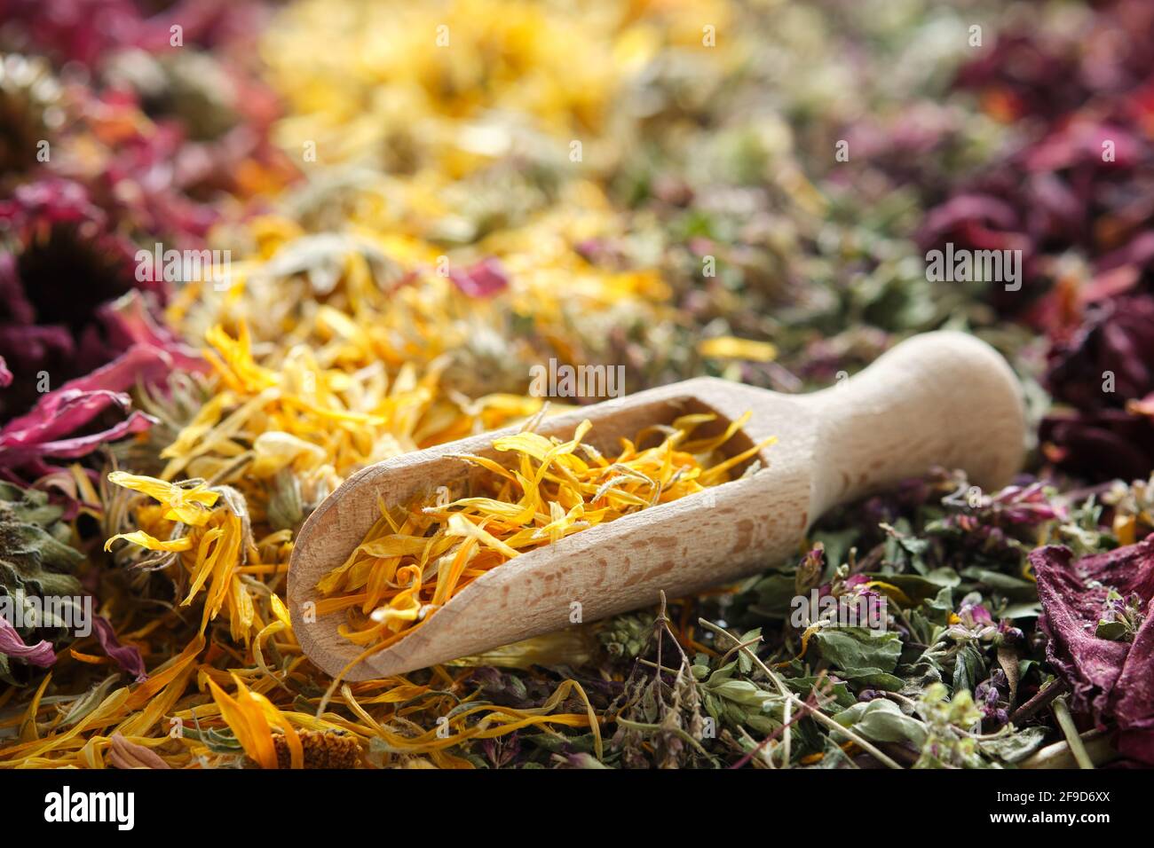 Dried medicinal herbs echinacea, calendula, wild marjoram, rose