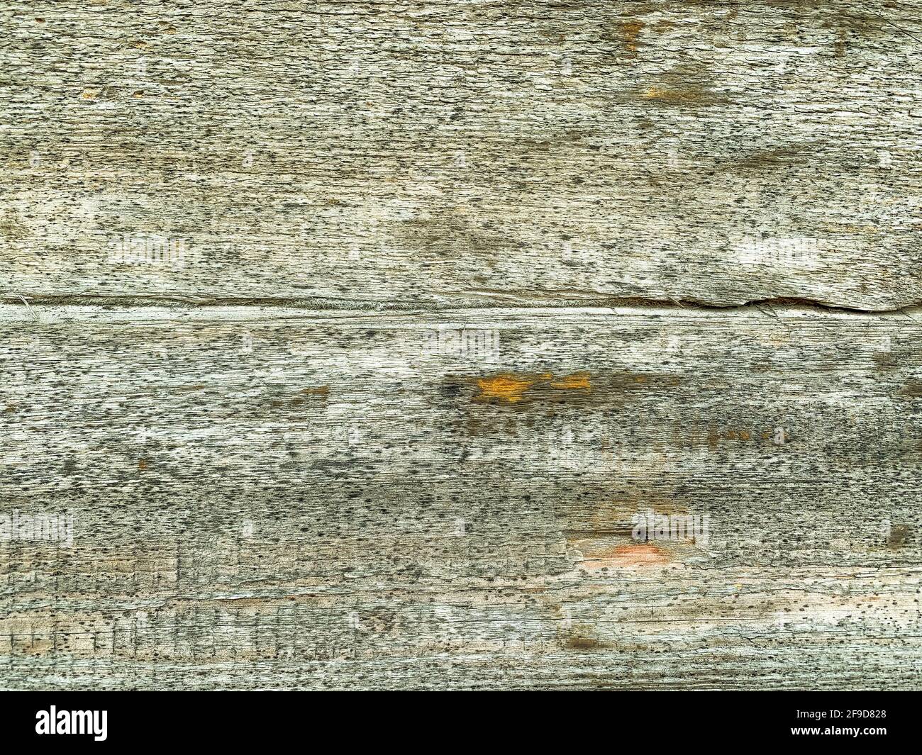 Background from old rotten cracked gray boards. Wood texture ...
