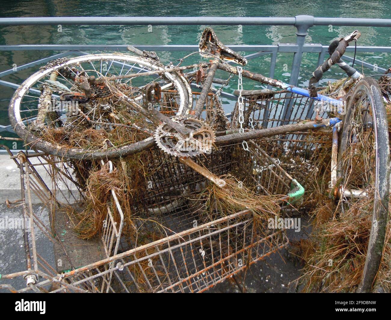 Underwater Rusted Bicycle Rims Recycle water treatment hi-res stock photography and images - Alamy