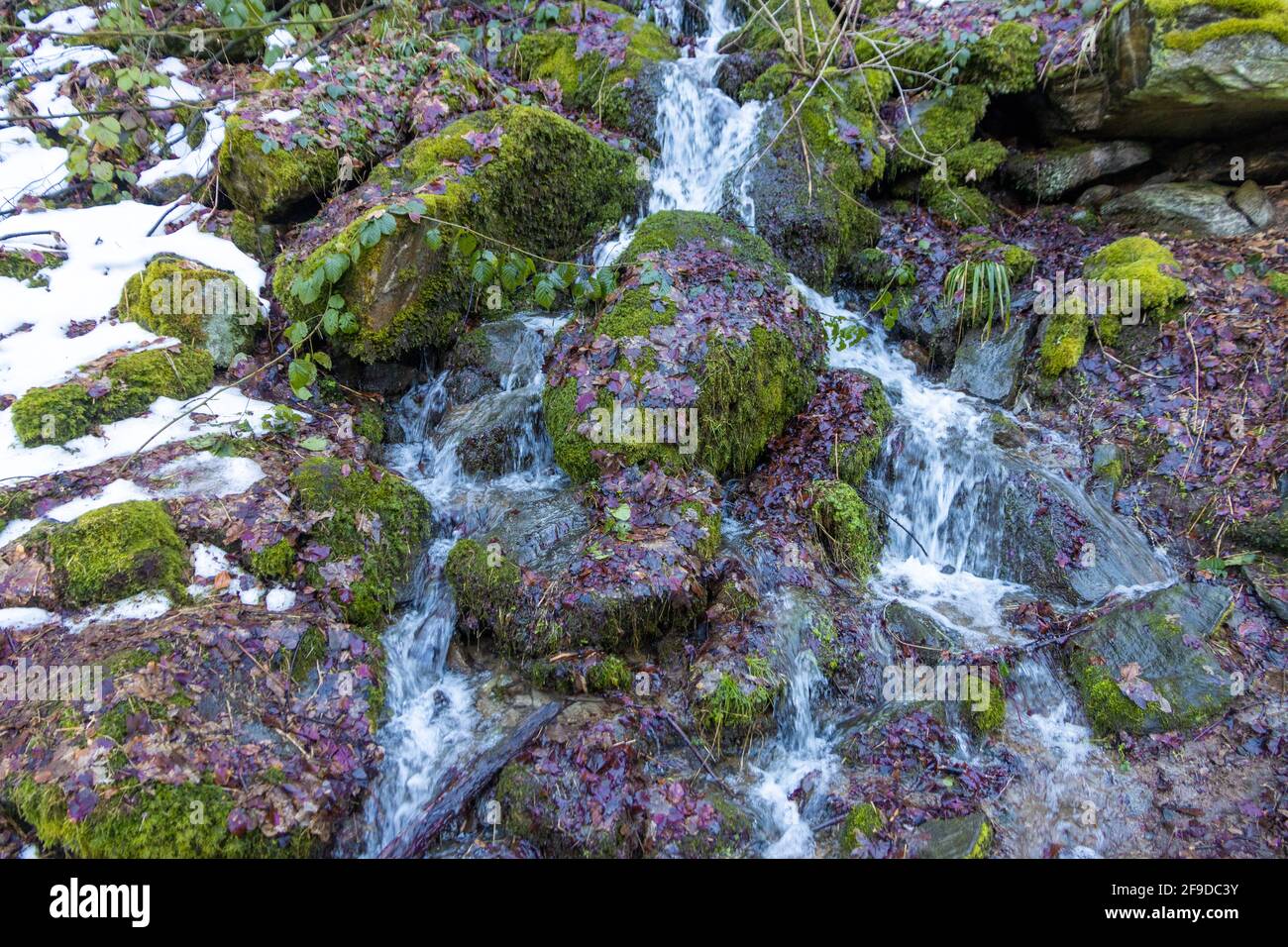 A little river waterfall in the forest Stock Photo