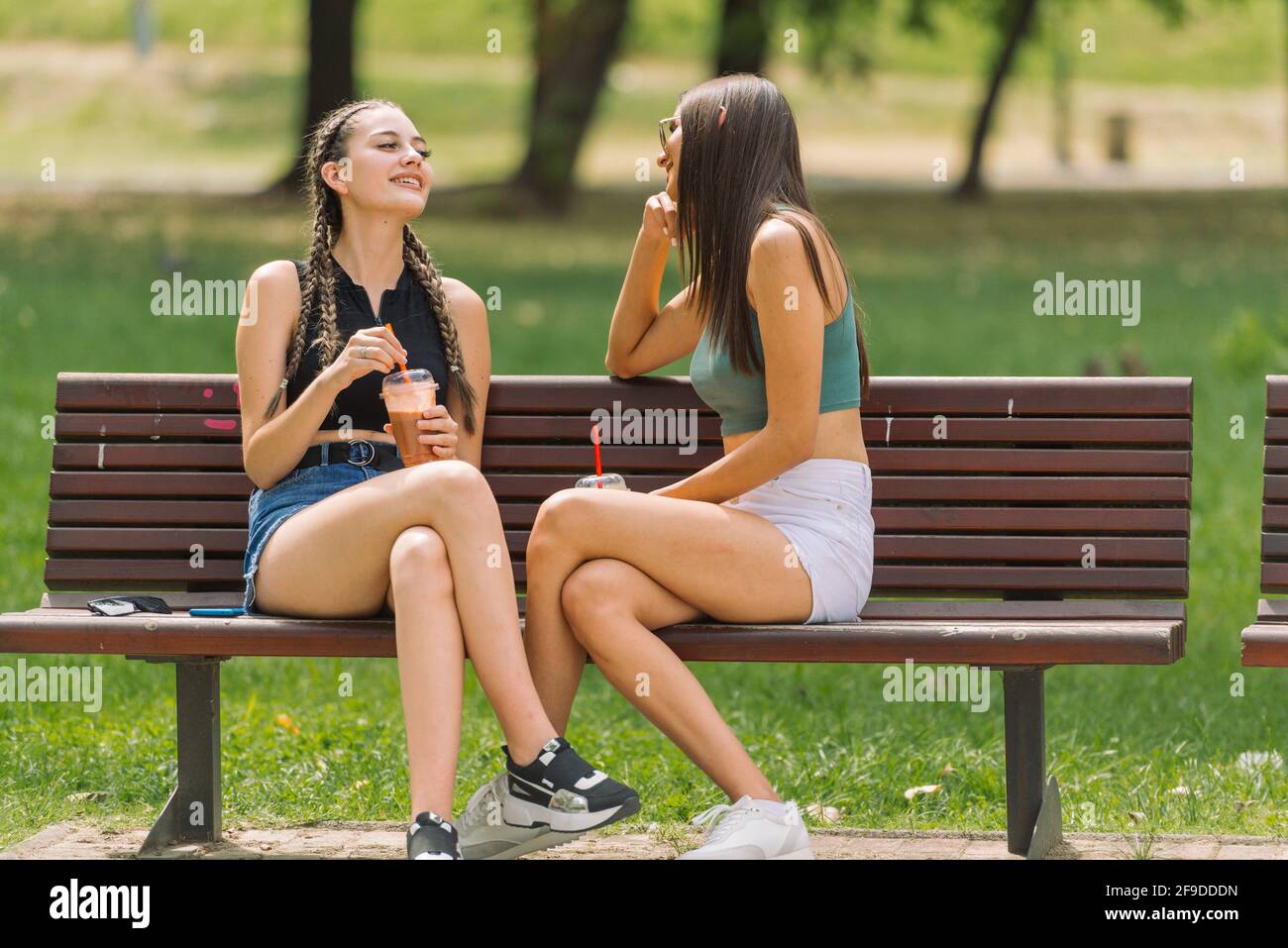 Attractive Two Women Sitting On A Park Bench On A Summer Day Stock