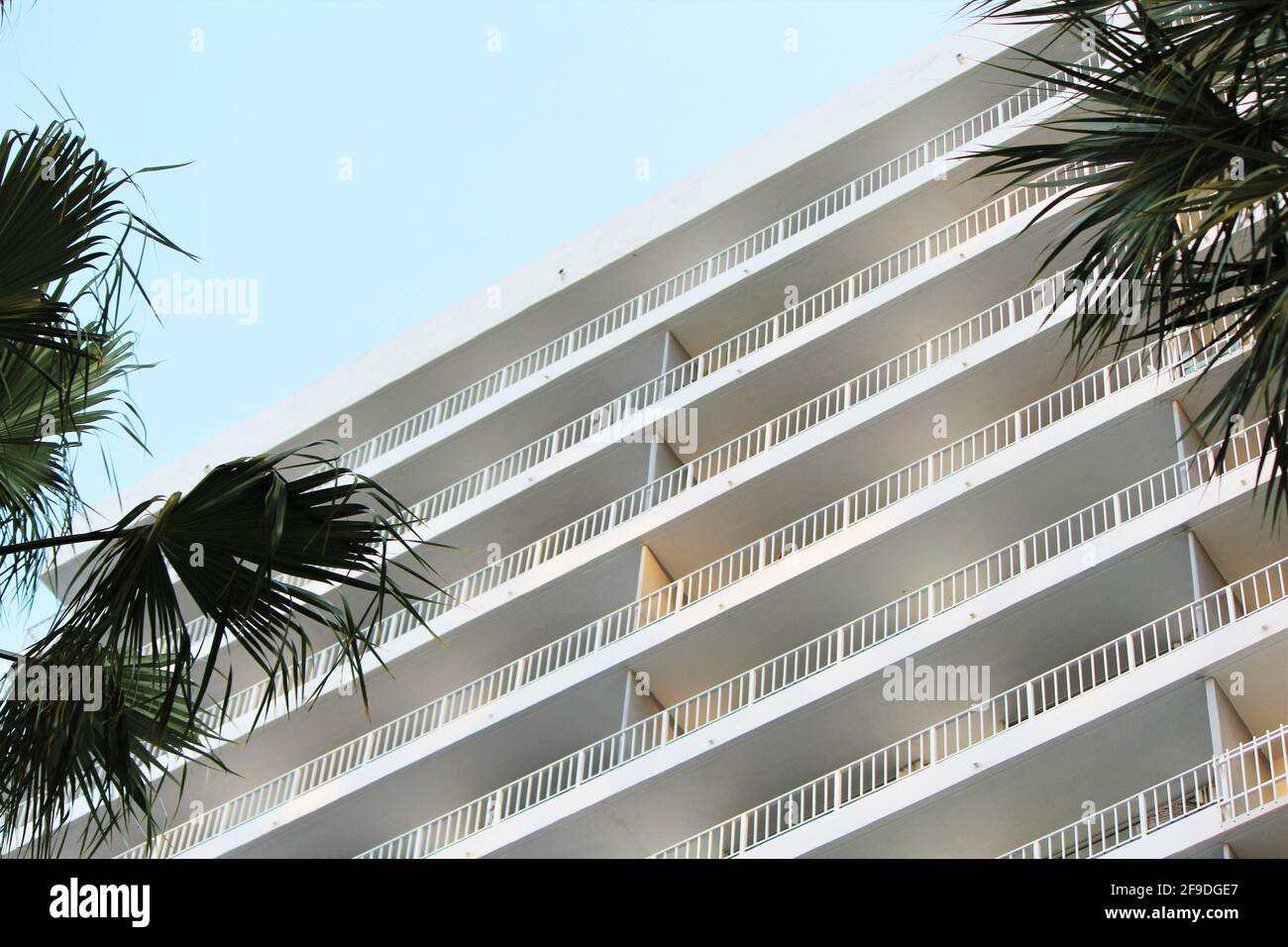Large white residential condominium in Brickell, Miami Florida. Palm tress on the side. Stock Photo