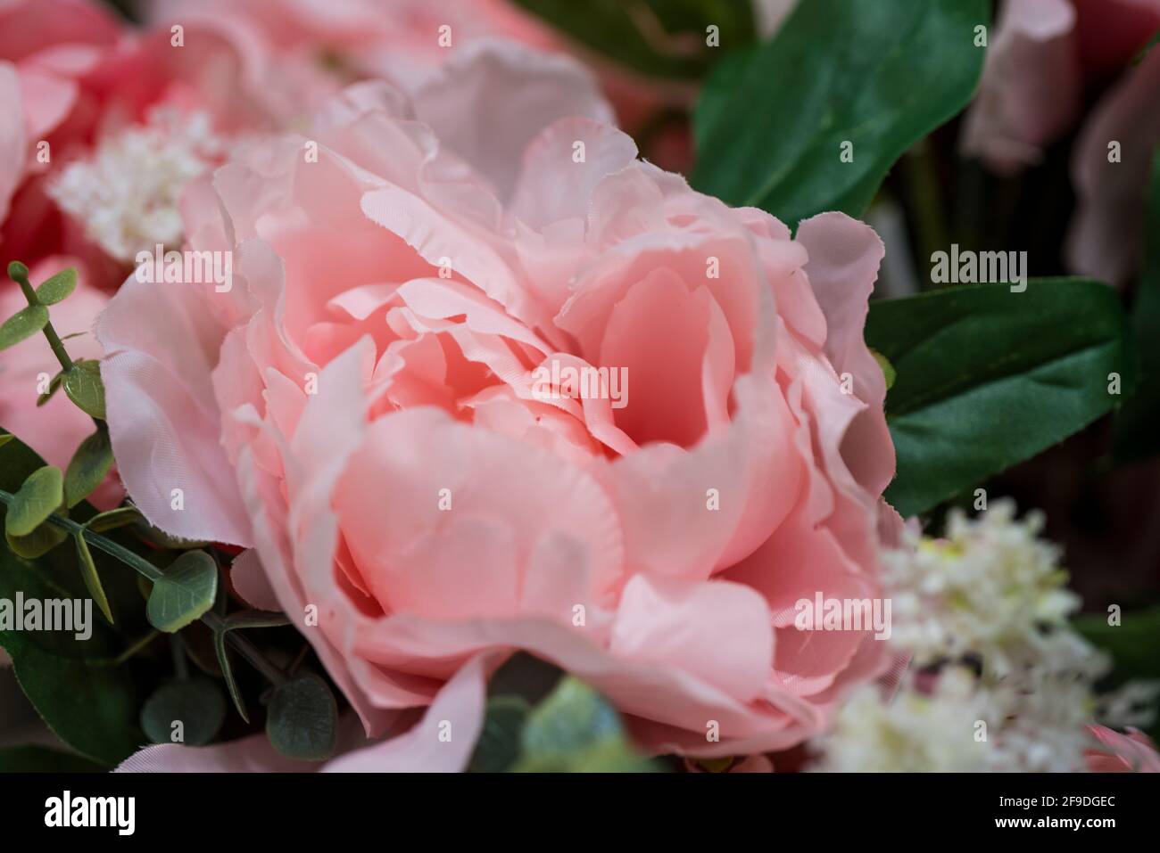 Plastic flowers for decoration, can be use as background. Stock Photo