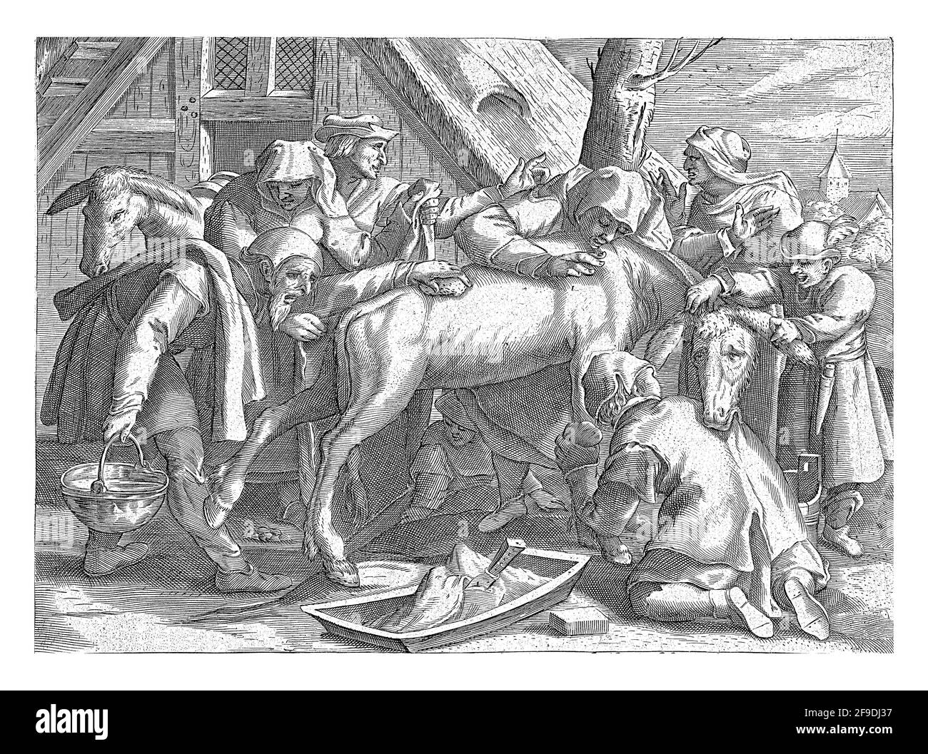 A group of men try to wash a donkey. The men are busy with buckets, soap and cloths. They are not thanked for it. The donkey kicks its legs and bites Stock Photo