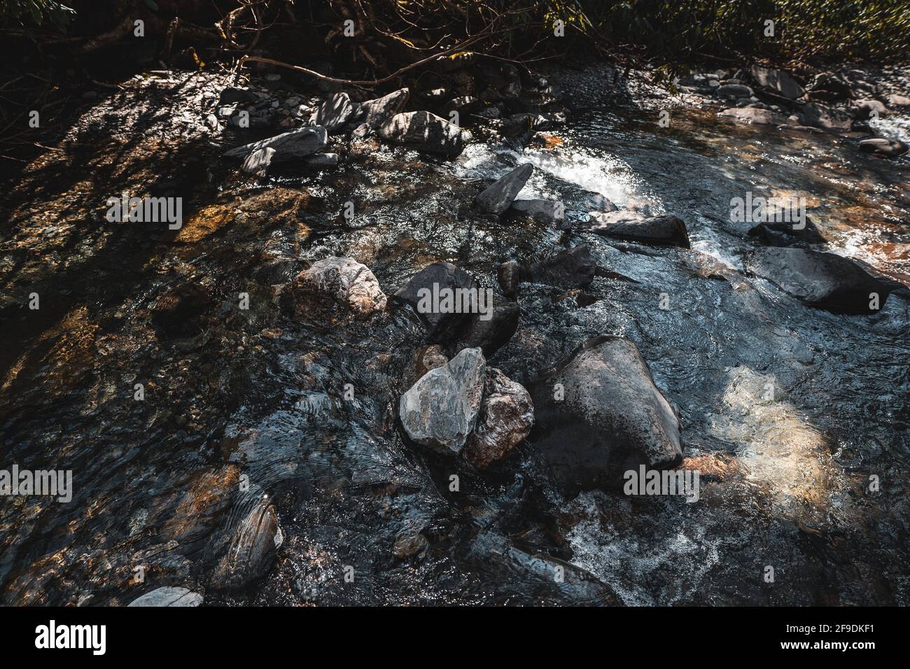 small rapids on a creek in the forest Stock Photo