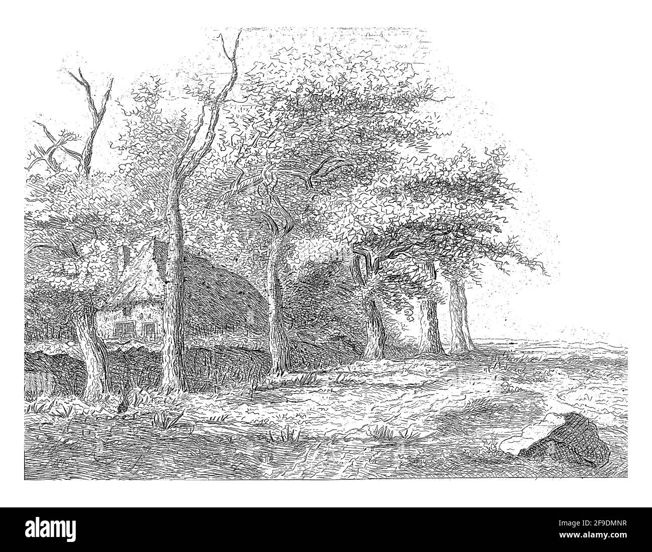 A row of trees along a bank. Behind the shore a house. Stock Photo