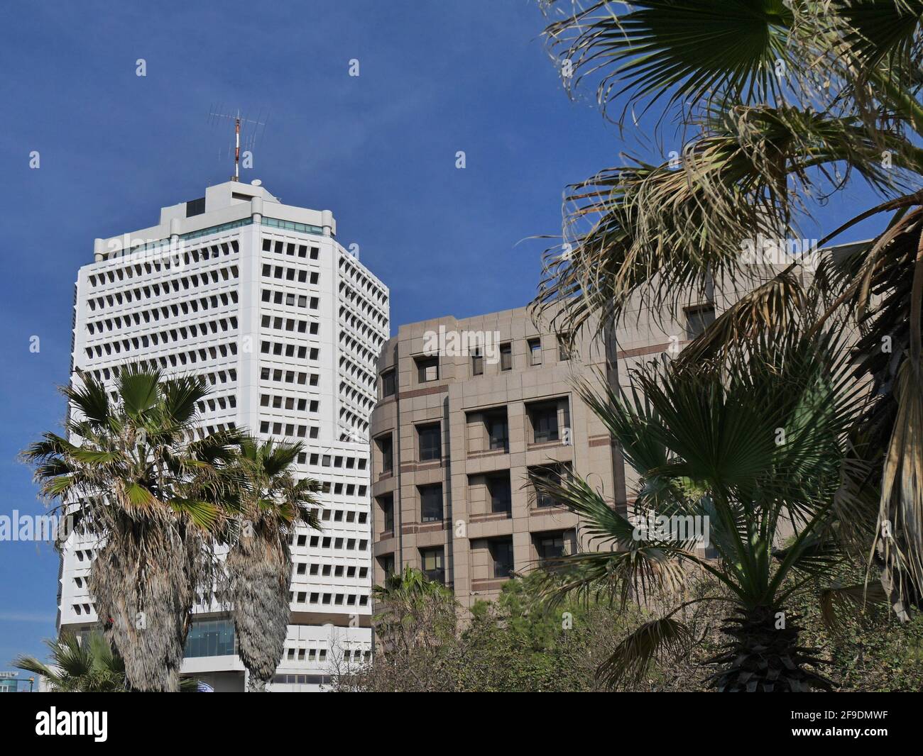Palm trees modern buildings hi-res stock photography and images - Alamy