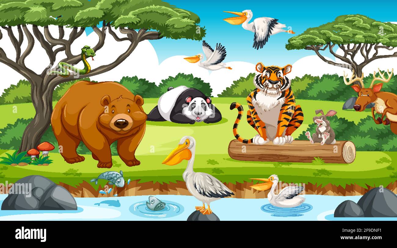 Wild animals in the jungle illustration Stock Vector Image & Art - Alamy