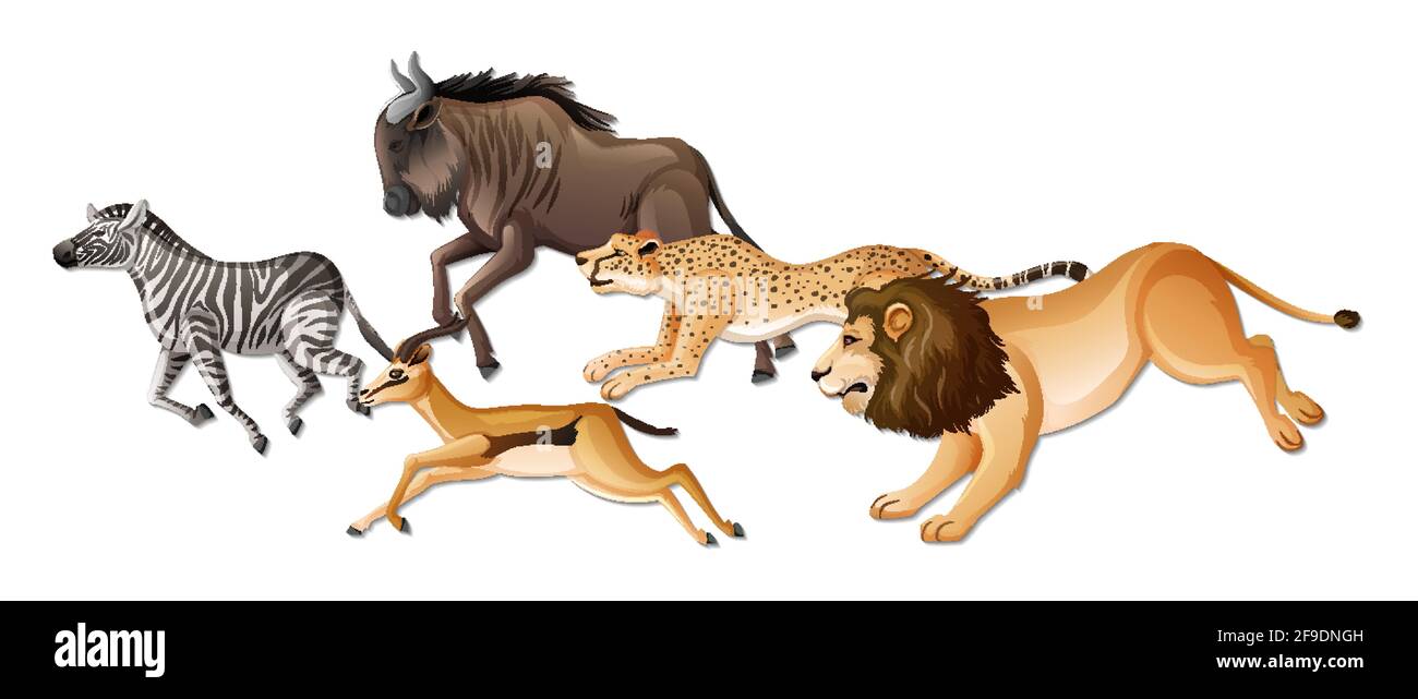 Group of wild African animals on white background illustration Stock ...