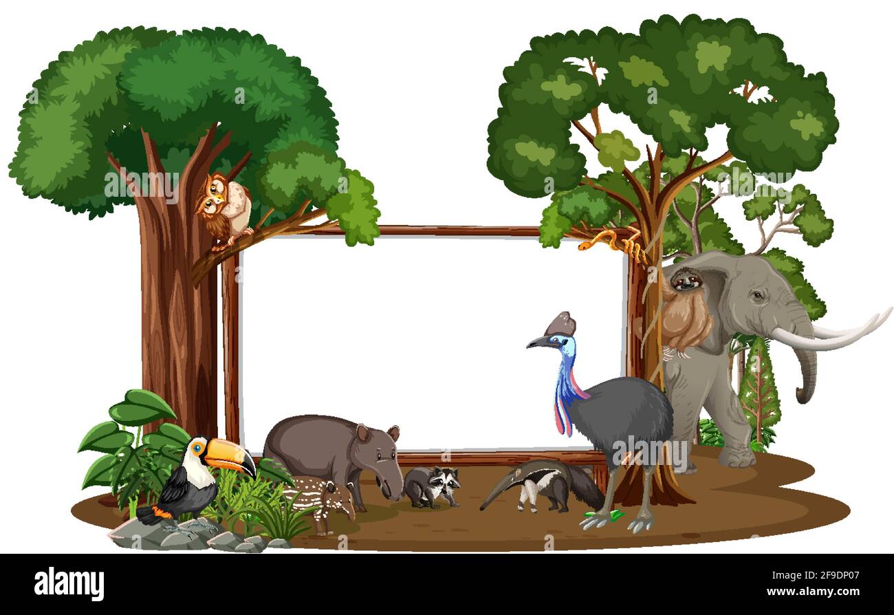 Empty banner with wild animals and rainforest trees on white background ...