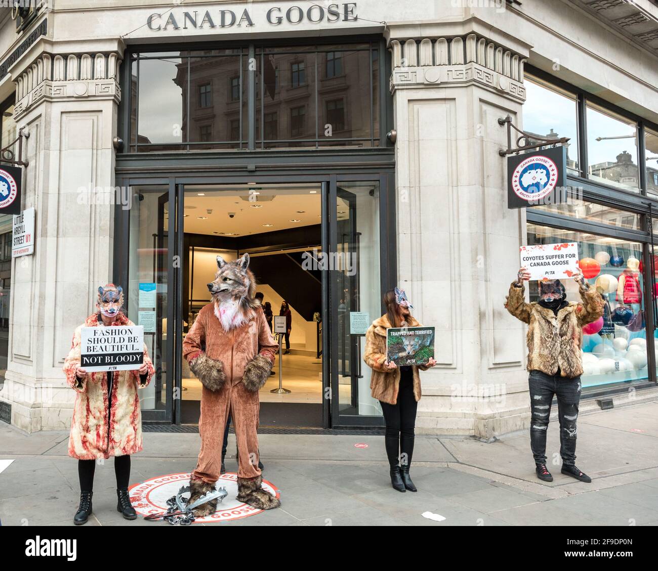 Activists seen holding placards expressing their opinion during the  demonstration.Animal cruelty activists Peta UK (People for the Ethical  Treatment of Animals) protest against the inhumane treatment of coyotes by  Canada goose, outside