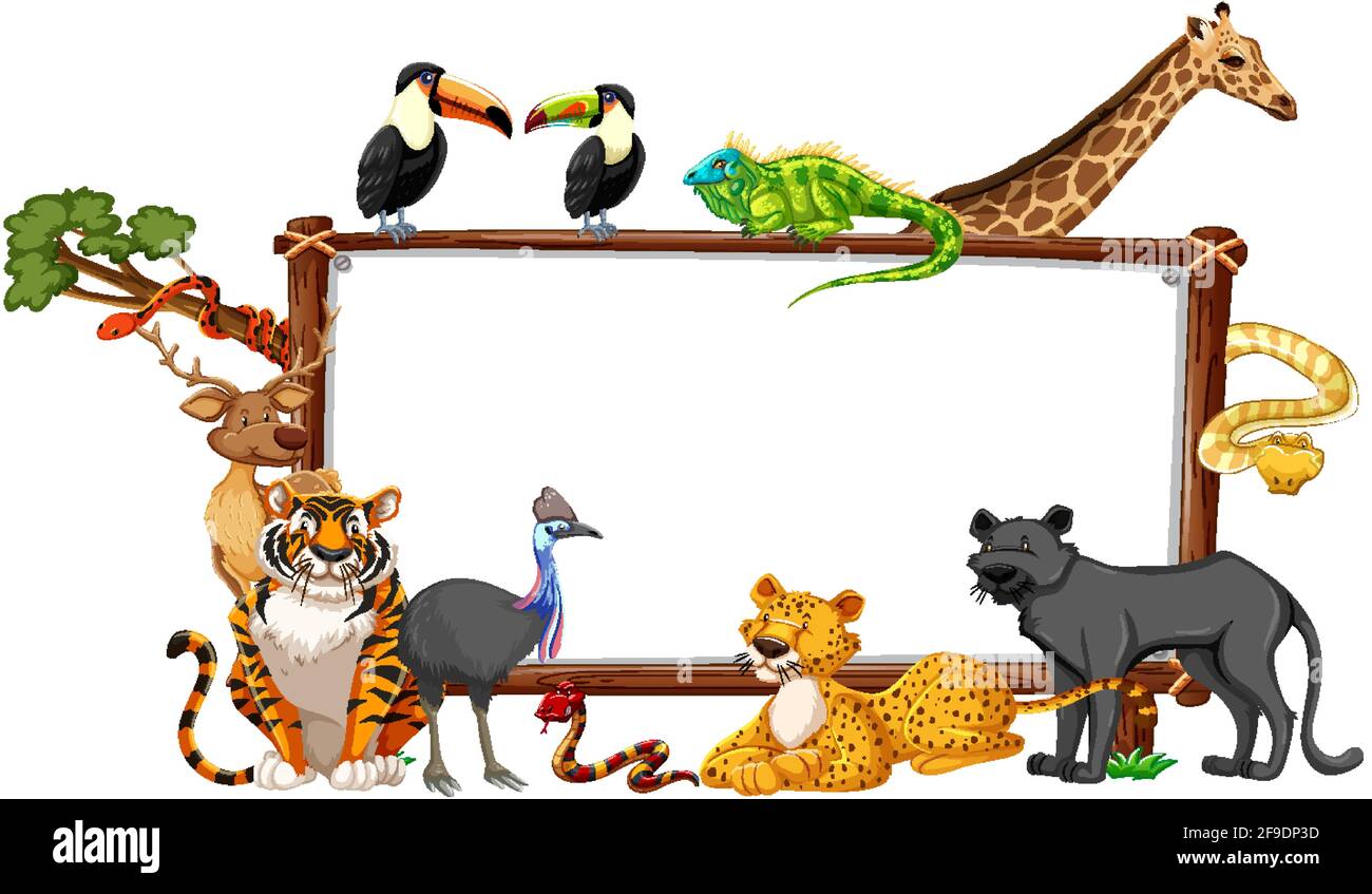 Empty banner with wild animals on white background illustration Stock ...
